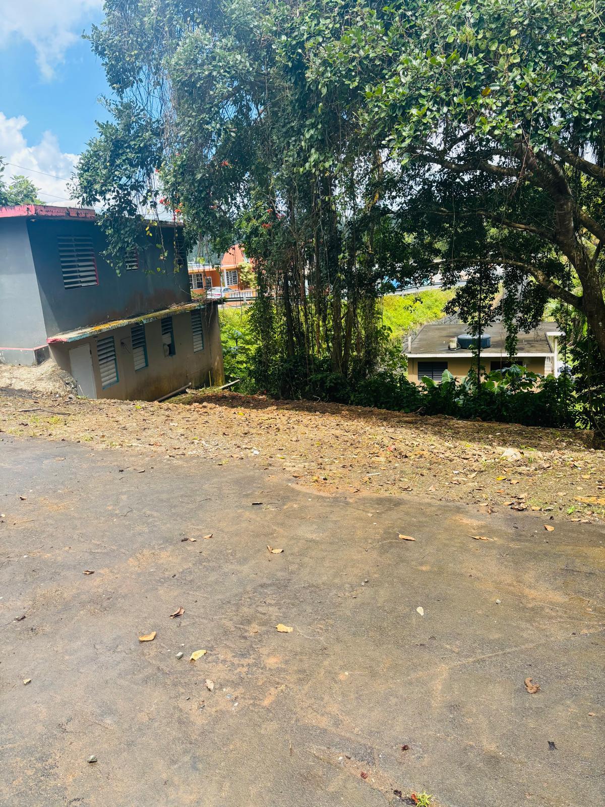 CASA